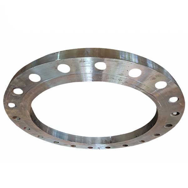 Stainless Steel Backing Flange, Ouside Diameter of Flange: 10 Inch in Ahmadi